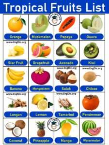 List of Tropical Fruits in English with Pictures & PDF - EngDic