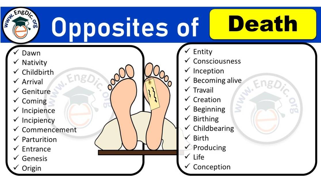 list-of-conjunctive-adverbs-with-examples-and-pdf-engdic