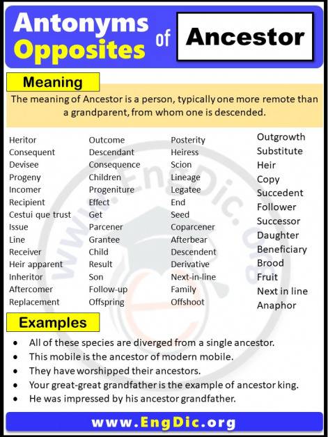 opposite-of-ancestor-pdf-archives-engdic