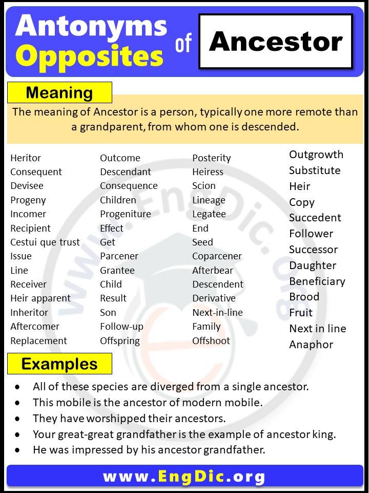 Opposite of Ancestor, Antonyms of Ancestor (Example Sentences)