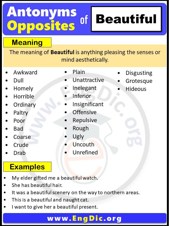 Opposite of Beautiful, Antonyms of Beautiful, Beautiful meaning and Example Sentences in English PDF