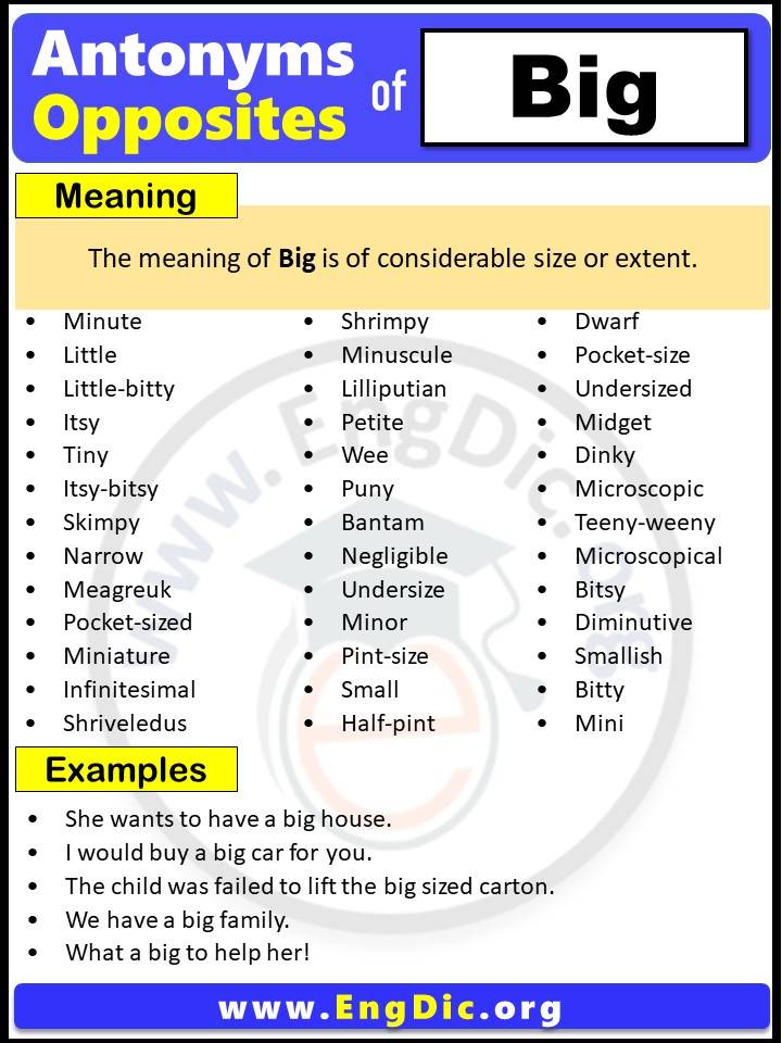 list-of-big-words-and-their-meanings