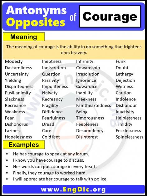 What Are The Synonyms And Antonyms Of Courage