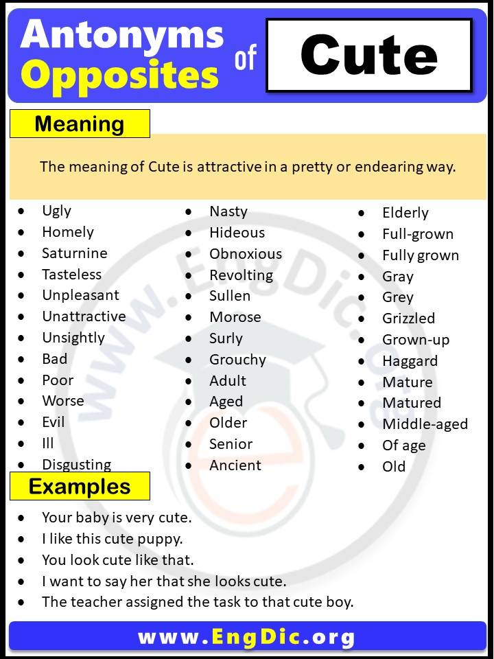 Opposite of Cute, Antonyms of Cute with meaning and Example Sentences in English PDF
