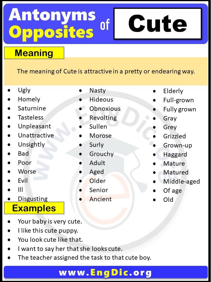 Opposite of Cute, Antonyms of Cute (Example Sentences)