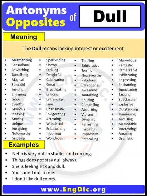 antonyms-of-dull-pdf-archives-engdic