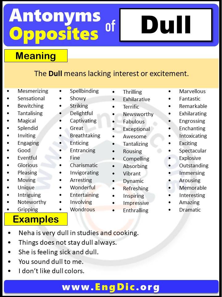 Opposite of Dull, Antonyms of Dull, Dull meaning and Example Sentences in English PDF