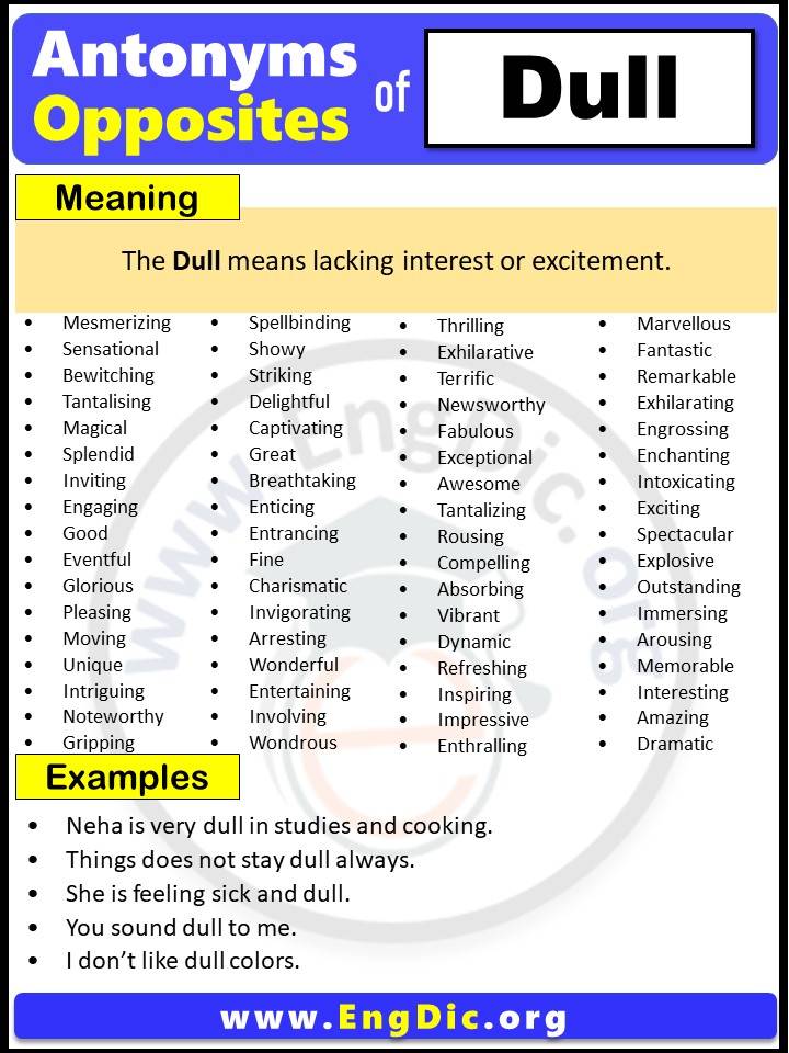 antonyms-of-dull-pdf-engdic