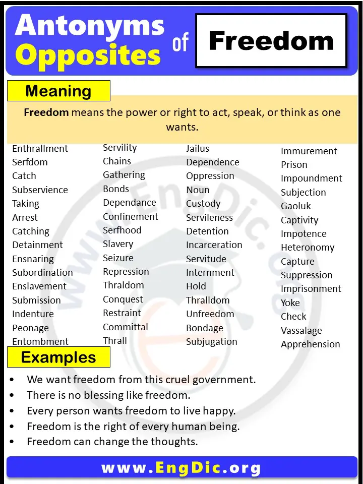 Opposite of Freedom, Antonyms of Freedom (Example Sentences)