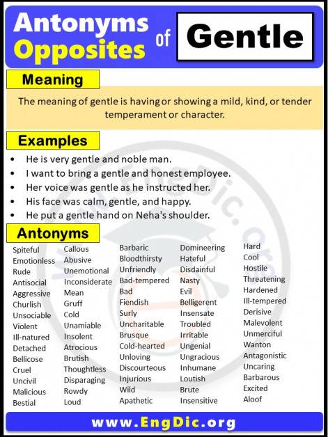 opposite-of-gentle-with-meaning-and-examples-pdf-archives-engdic