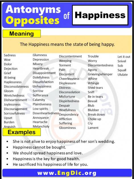 Opposite Of Slow Antonyms Of Slow With Meaning And Example Sentences In English Pdf Engdic 1415