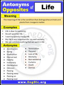 Opposite Of Forget Antonyms Of Forget Meaning And Example Sentences Opposite Of Forget Antonyms Of Forget Meaning And Example Sentences