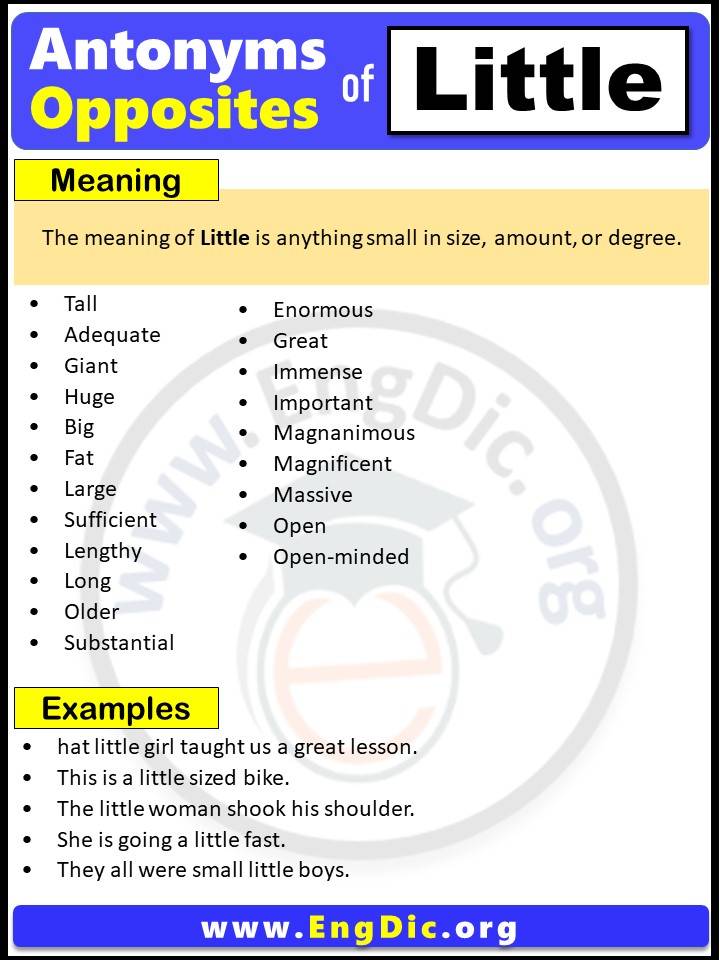 Opposite of Little, Antonyms of Little, Little meaning and Example Sentences in English PDF