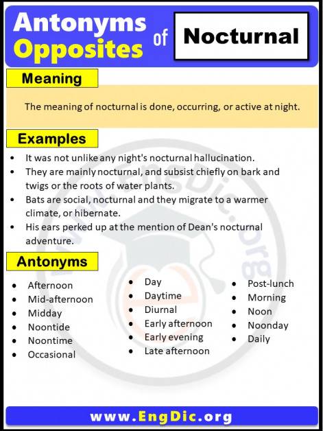 Nocturnal Synonyms In English