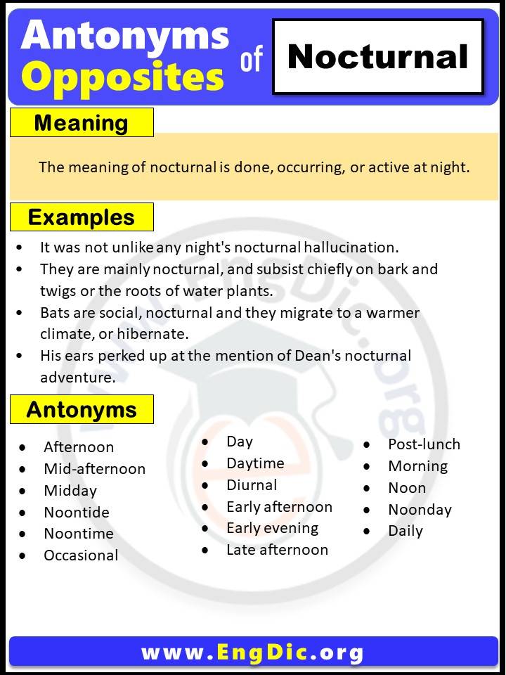 Opposite of Nocturnal, Antonyms of nocturnal (Example Sentences)