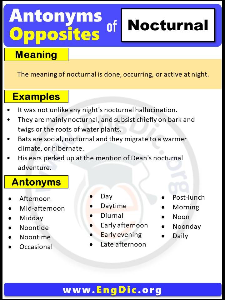 nocturnal meaning