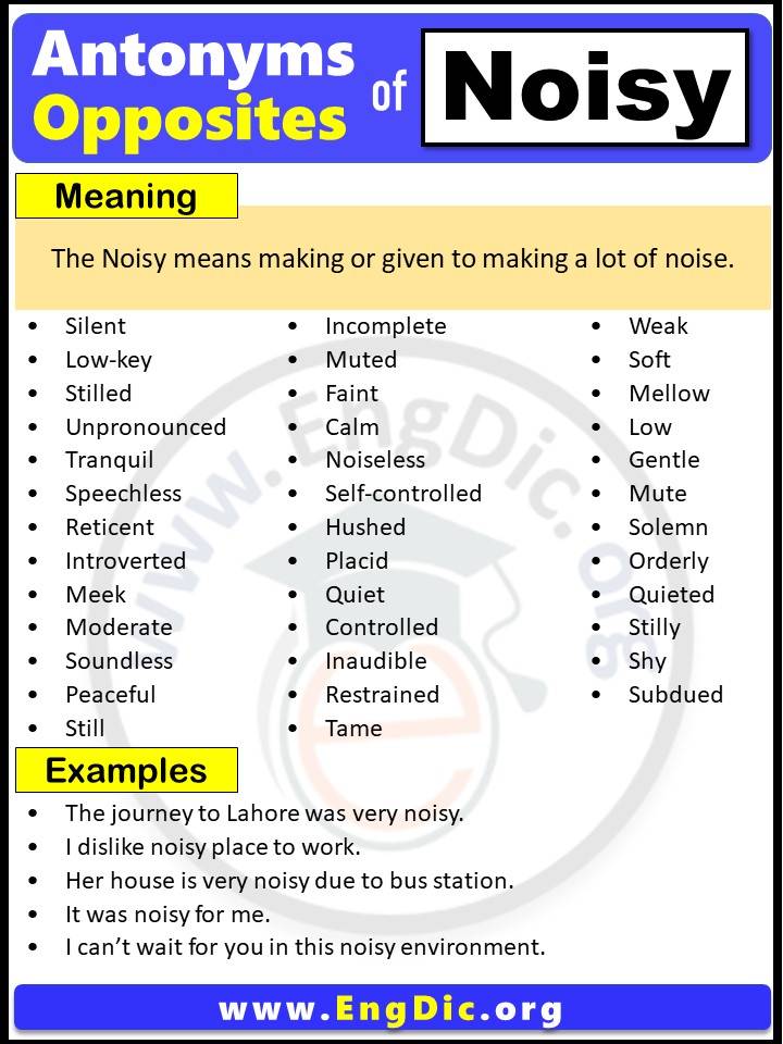 Opposite of Noisy, Antonyms of Noisy (Example Sentences)