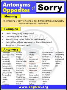 Opposite of Sorry, Antonyms of sorry (Example Sentences) - EngDic