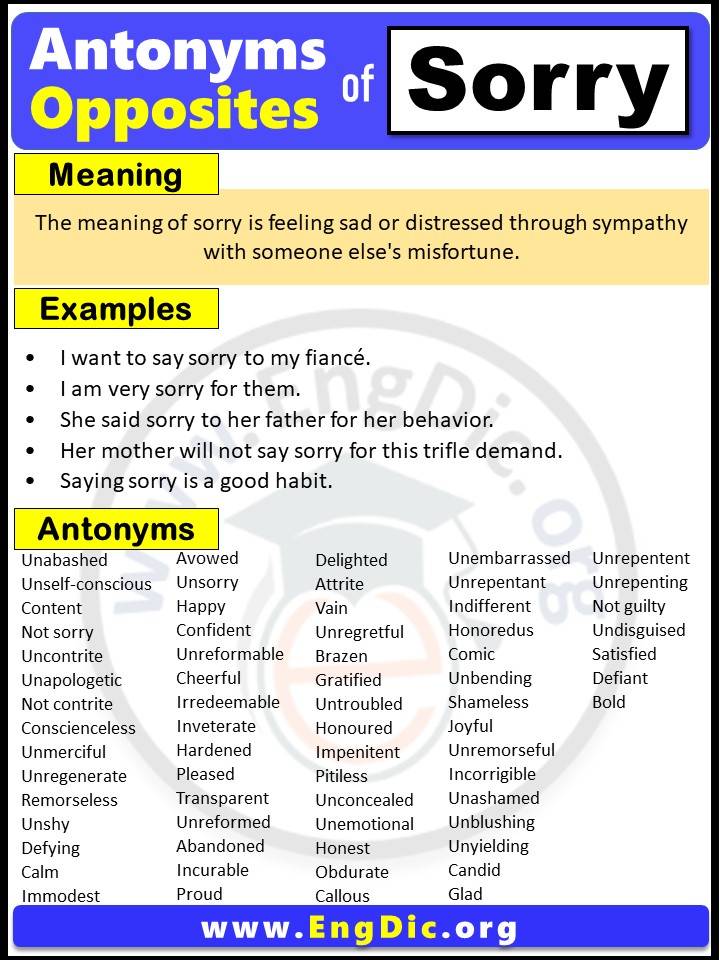 Opposite of Sorry, Antonyms of sorry with meaning and Example Sentences in English PDF