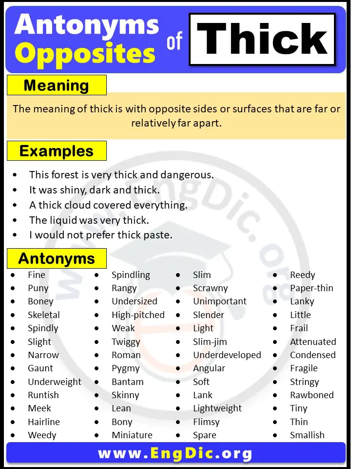 Opposite of Thick, Antonyms of thick (Example Sentences)