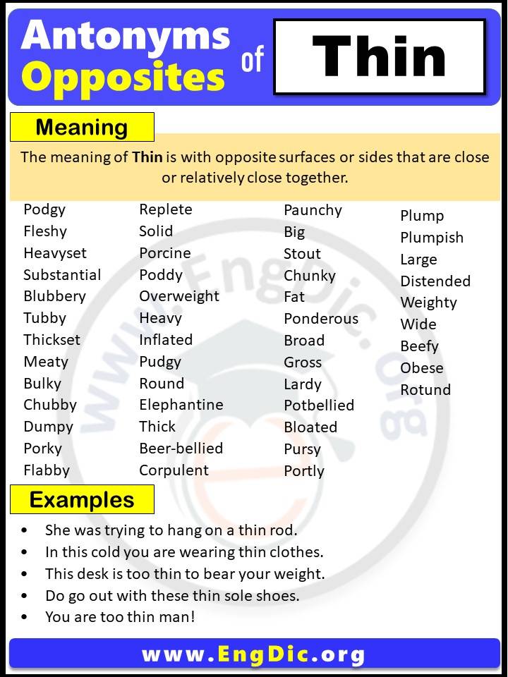 Opposite of Thin, Antonyms of Thin, Thin meaning and Example Sentences in English PDF