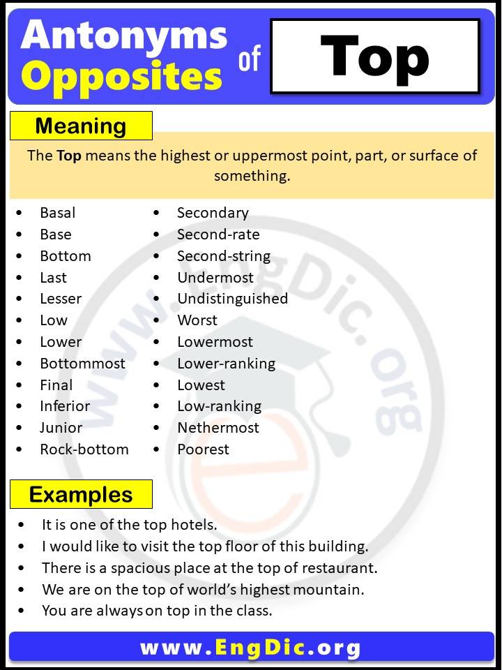 Opposite of Top, Antonyms of Top (Example Sentences)