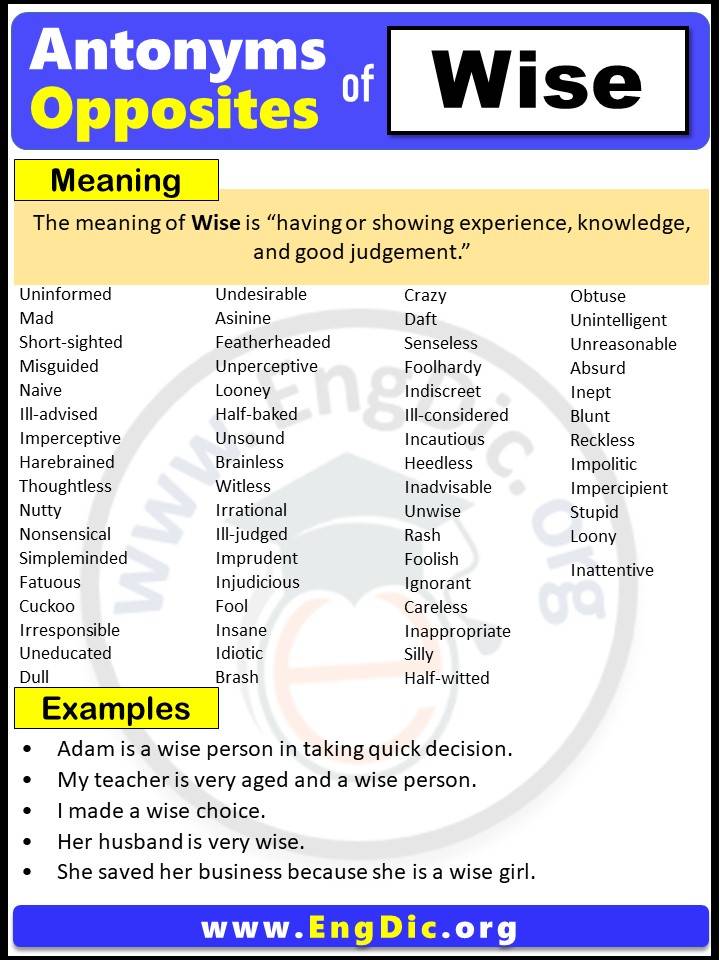 Opposite of Wise, Antonyms of Wise, Wise meaning and Example Sentences in English PDF