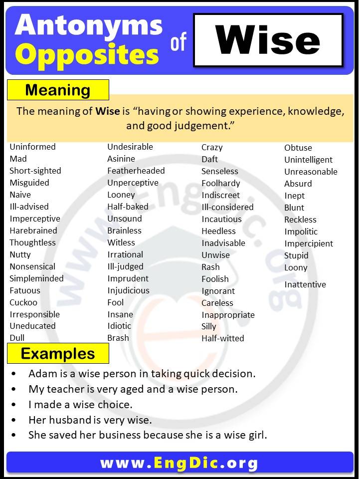 Opposite of Wise, Antonyms of Wise (Example Sentences)