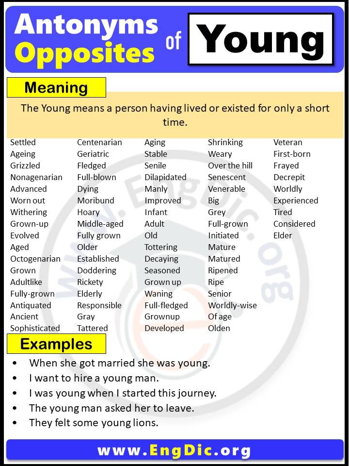 Opposite of Young, Antonyms of Young (Example Sentences)