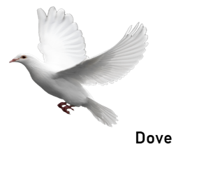 dove
