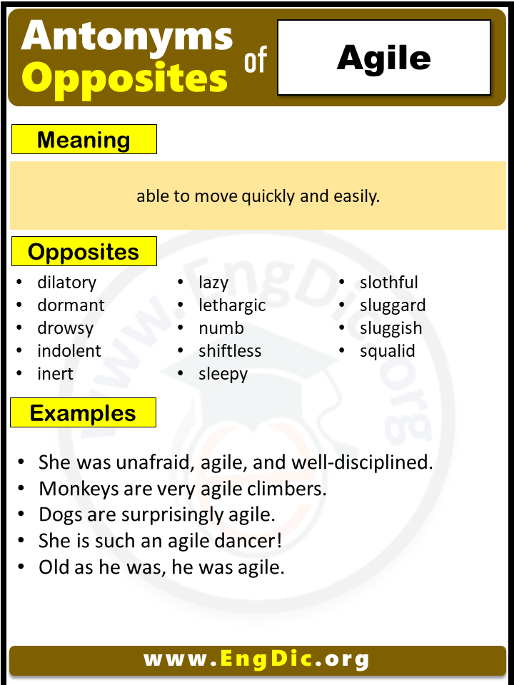 Opposite of Agile, Antonyms of Agile (Example Sentences)