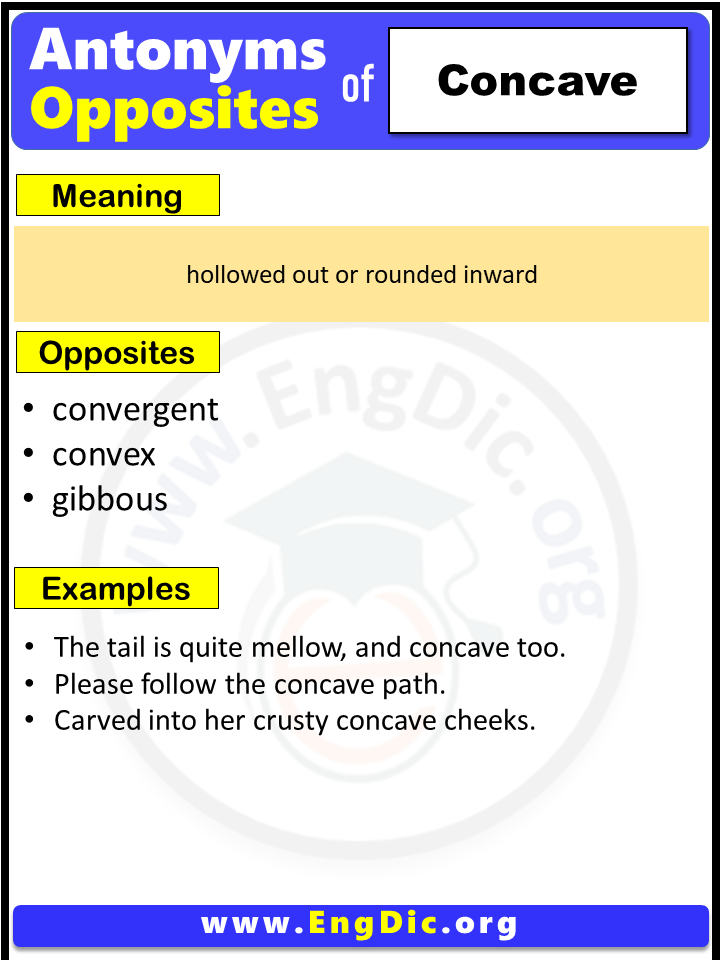 Opposite Of Concave, Antonyms of Concave, Meaning and Example Sentences