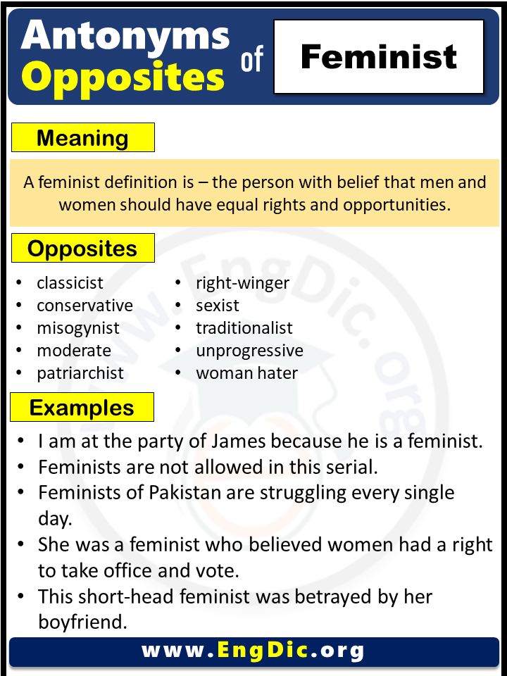 Opposite of feminist, Antonyms of feminist (Example Sentences)