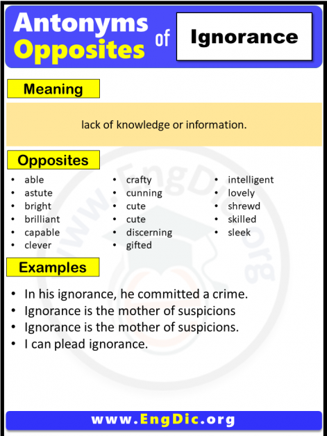 Opposite Of Ignorance, Antonyms of Ignorance (Example Sentences) - EngDic