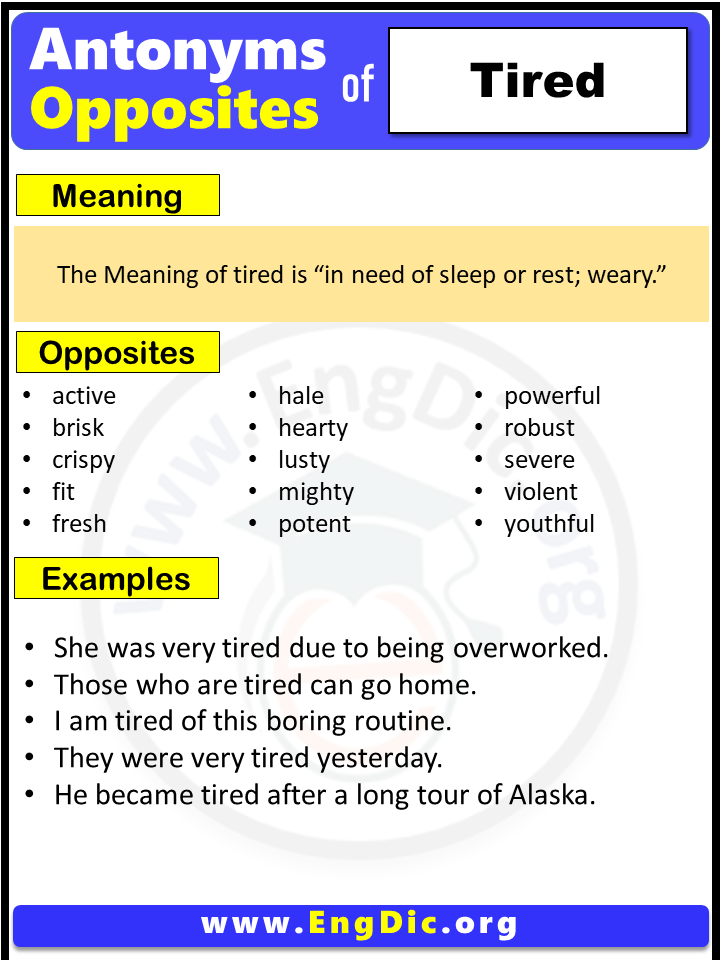 Opposite of tired, Antonyms of tired (Example Sentences)