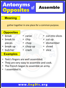 Opposite Of Assemble List In English – Engdic