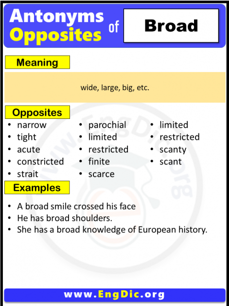 english-1000-opposite-words-antonym-words-list-about-exactly-above