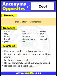 Opposite of Cool, Antonyms of Cool (Example Sentences) - EngDic