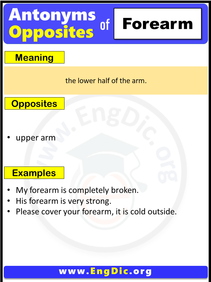 Opposite Of Forearm, Antonyms of Forearm, Meaning and Example Sentences