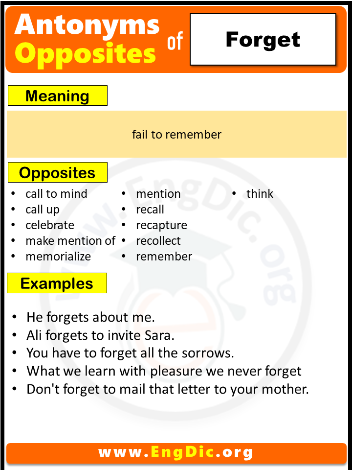 Opposite Of Forget, Antonyms of Forget (Example Sentences)