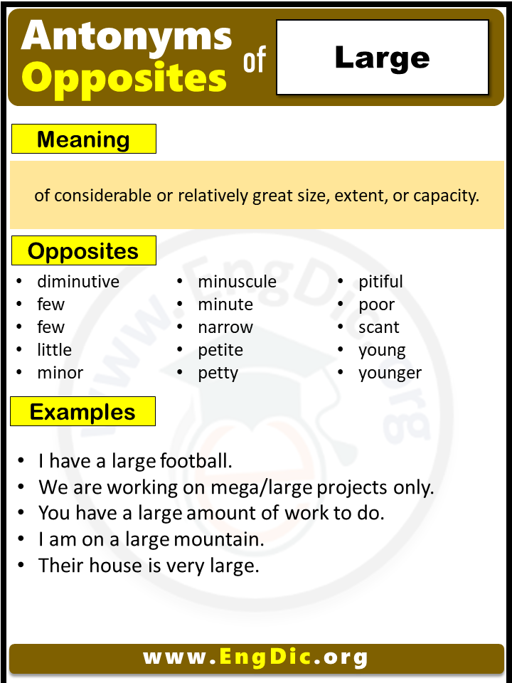 What Is Antonyms Of Large