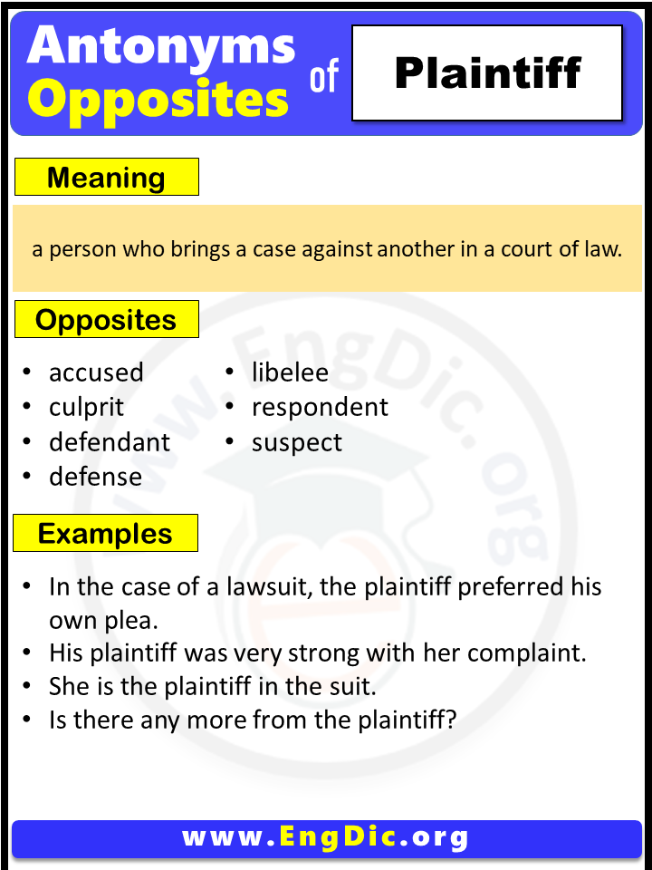  Plaintiff Meaning 