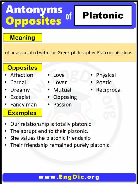 Platonic is the opposite of Archives - EngDic
