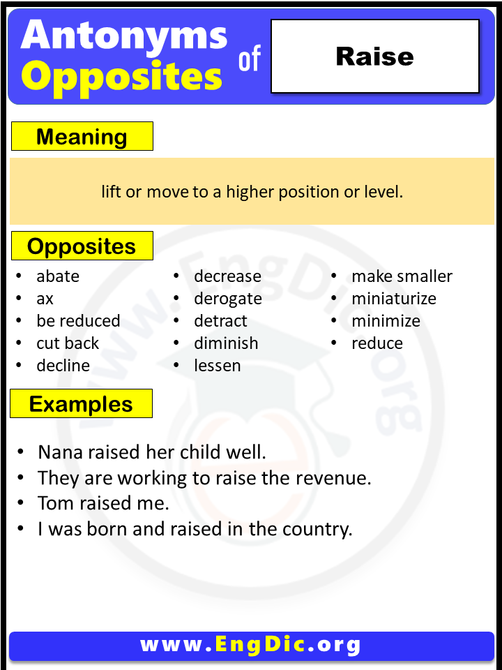 Opposite Of Raise, Antonyms of Raise (Example Sentences)