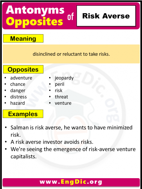 opposite-of-risk-averse-in-english-pdf-engdic