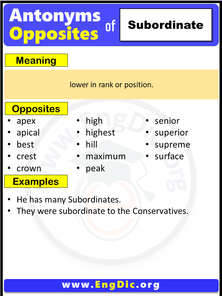 Opposite Of Subordinate, Antonyms of Subordinate, Meaning and Example Sentences