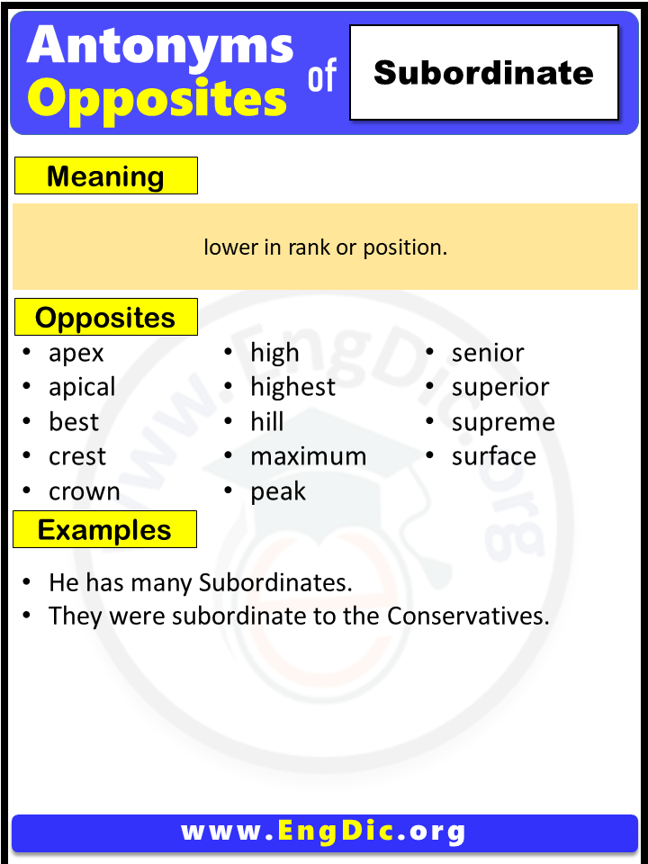 Opposite Of Subordinate, Antonyms of Subordinate (Example Sentences)