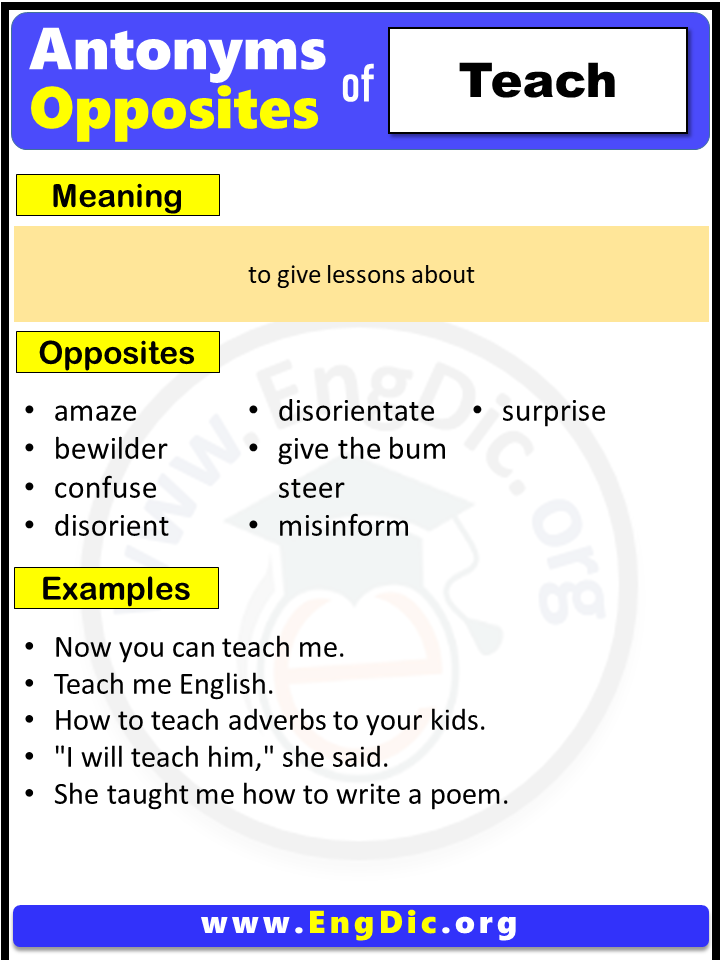 Opposite Of Teach, Antonyms of Teach (Example Sentences)
