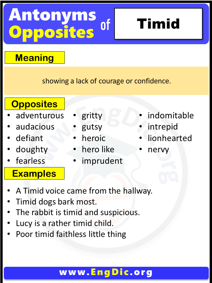 Opposite Of Timid, Antonyms of Timid (Example Sentences)