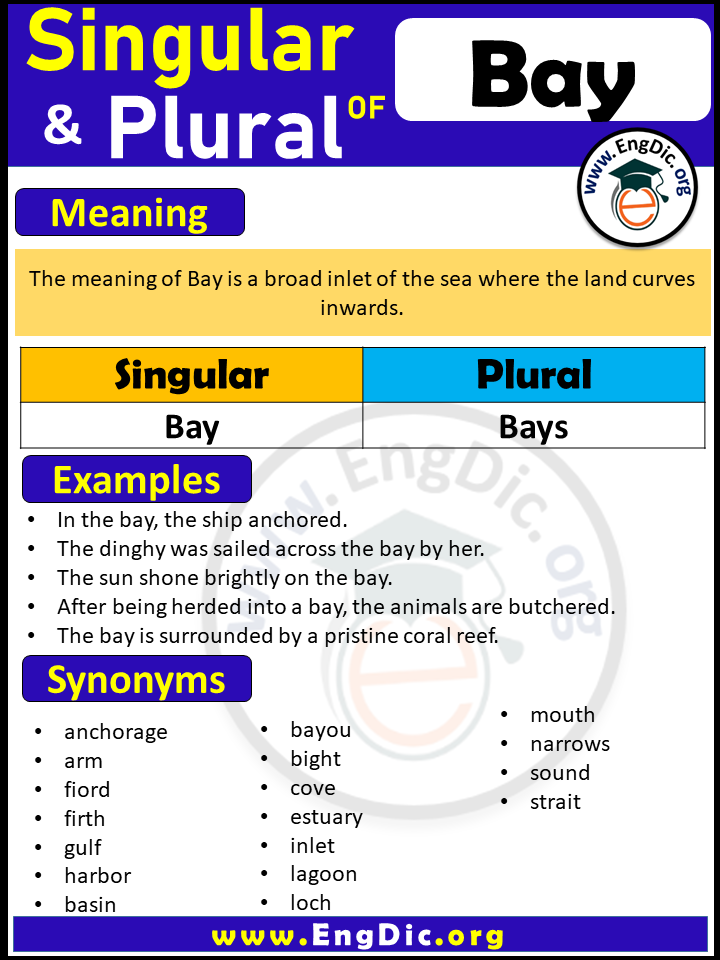 Bay Plural, What is the Plural of Bay?